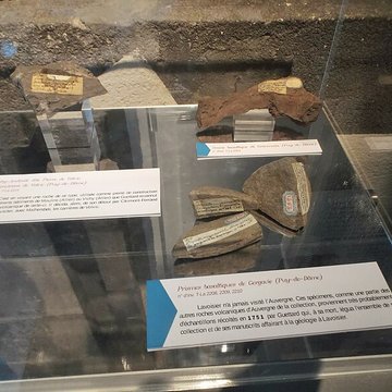 Muséum dhistoire naturelle Henri-Lecoq à Clermont-Ferrand