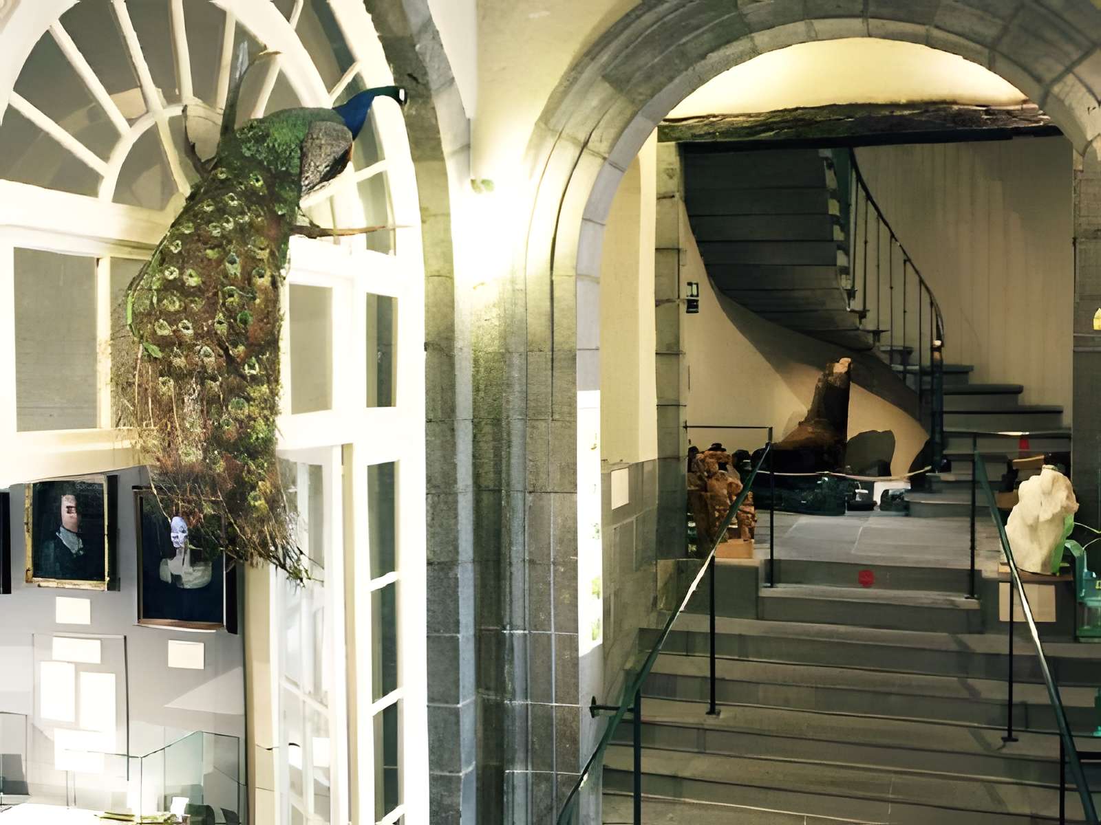 Muséum d'histoire naturelle Henri-Lecoq à Clermont-Ferrand intérieur du musée