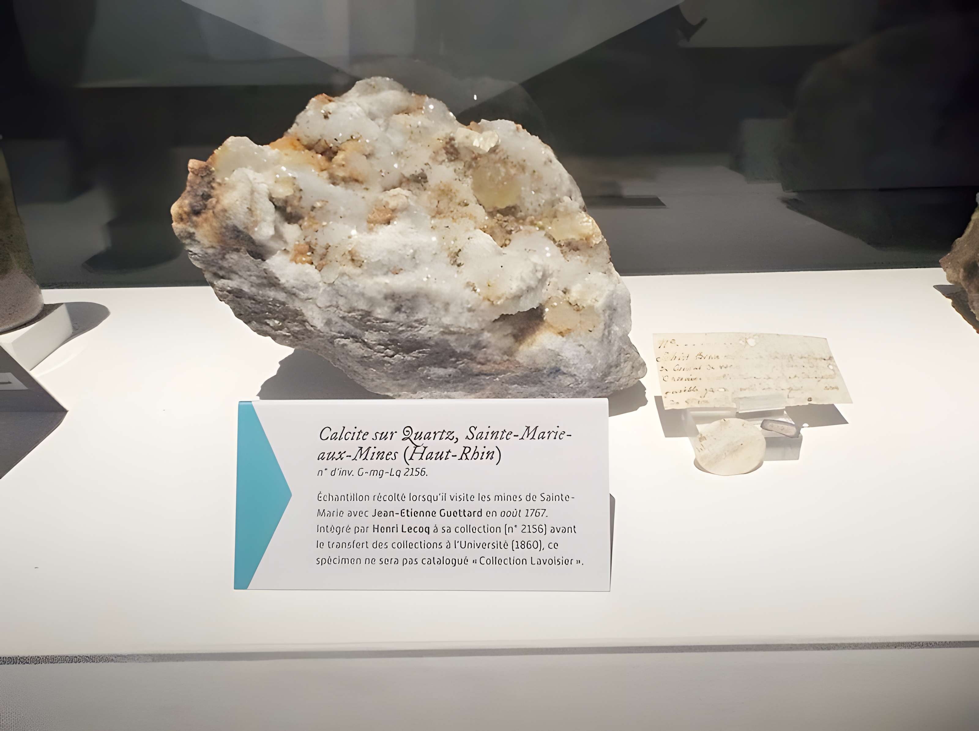 Muséum d'histoire naturelle Henri-Lecoq à Clermont-Ferrand