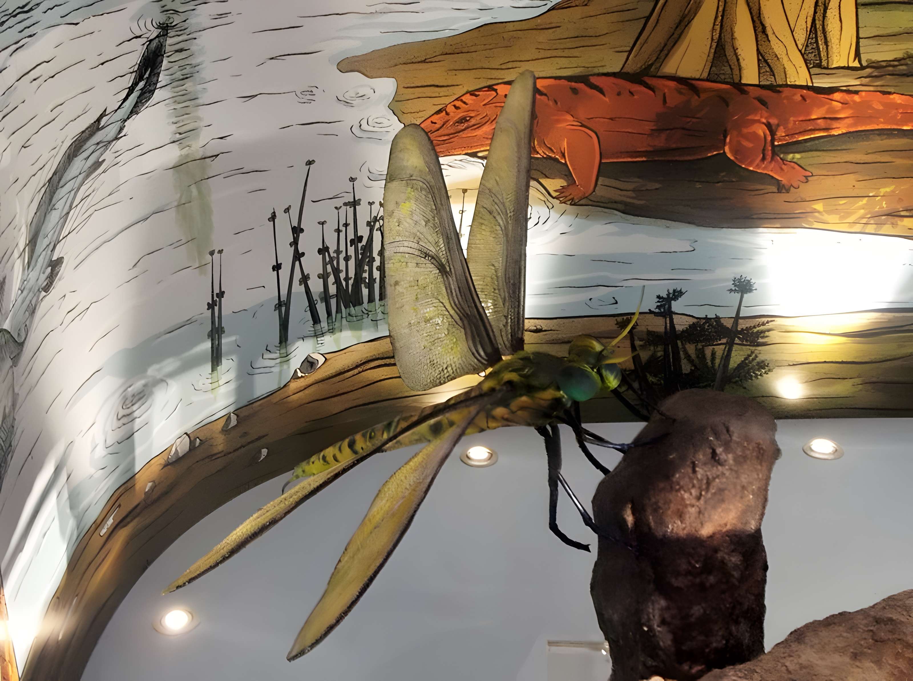 Muséum d'histoire naturelle Henri-Lecoq à Clermont-Ferrand