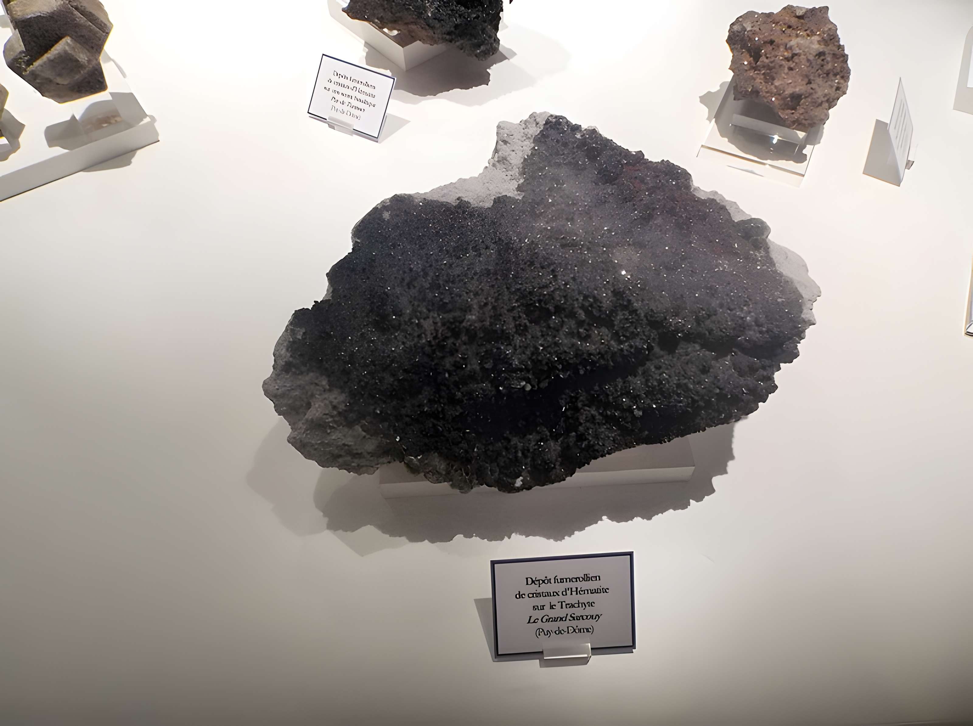 Muséum d'histoire naturelle Henri-Lecoq à Clermont-Ferrand