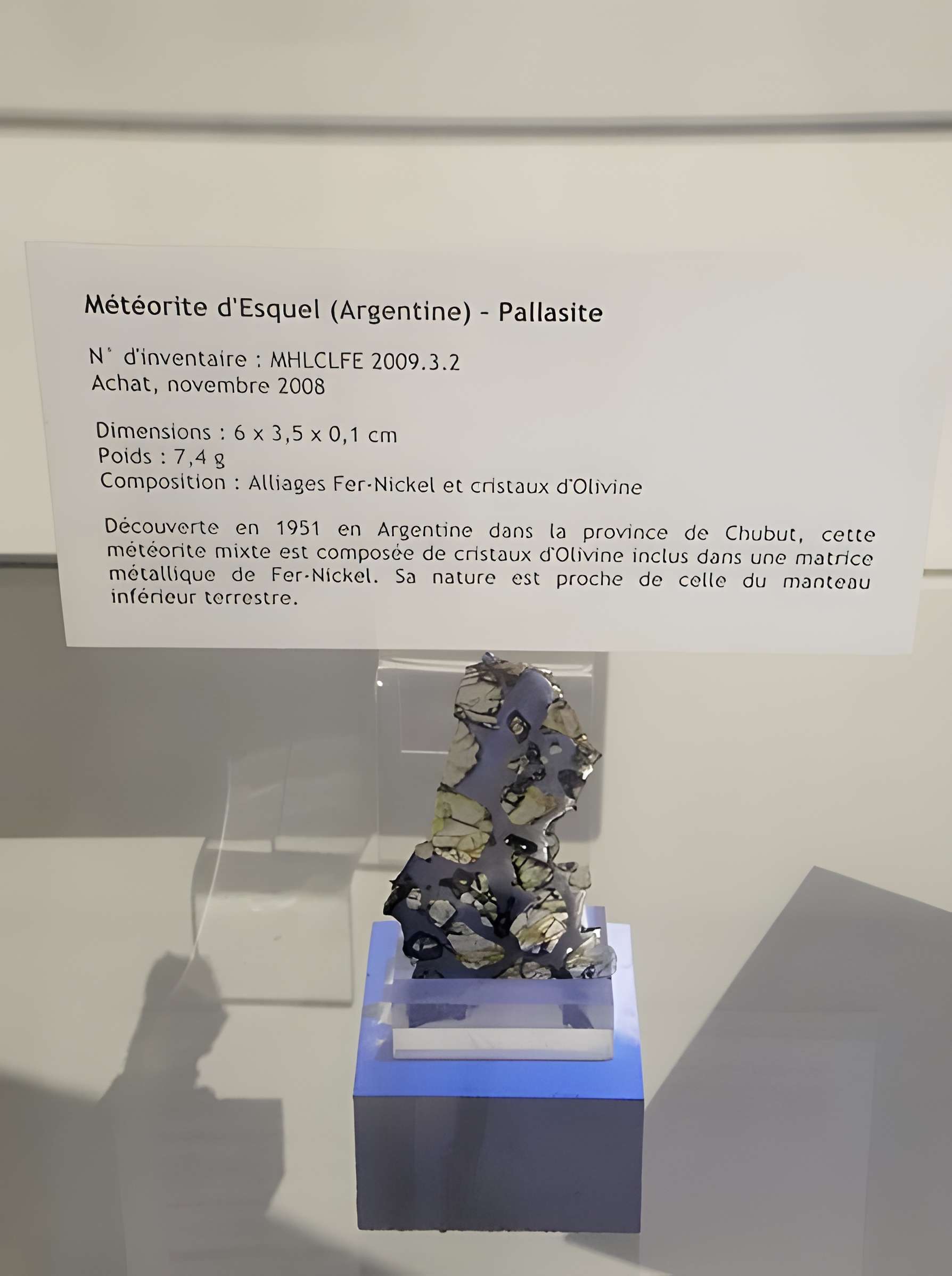 Muséum d'histoire naturelle Henri-Lecoq à Clermont-Ferrand