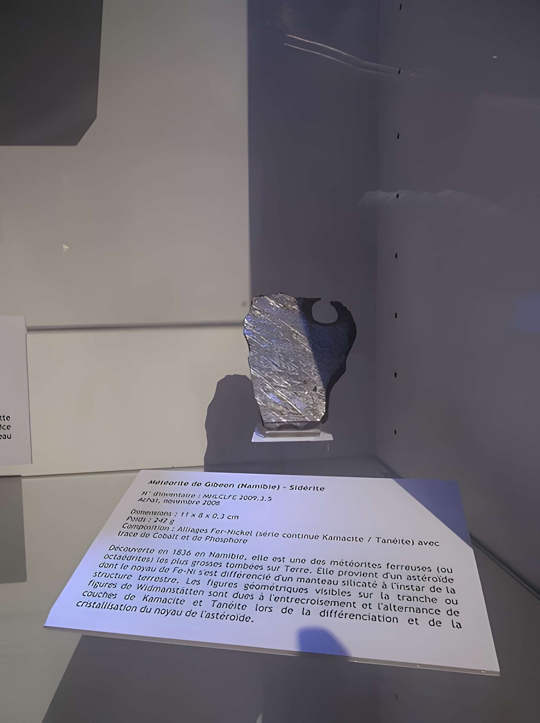 Muséum d'histoire naturelle Henri-Lecoq à Clermont-Ferrand