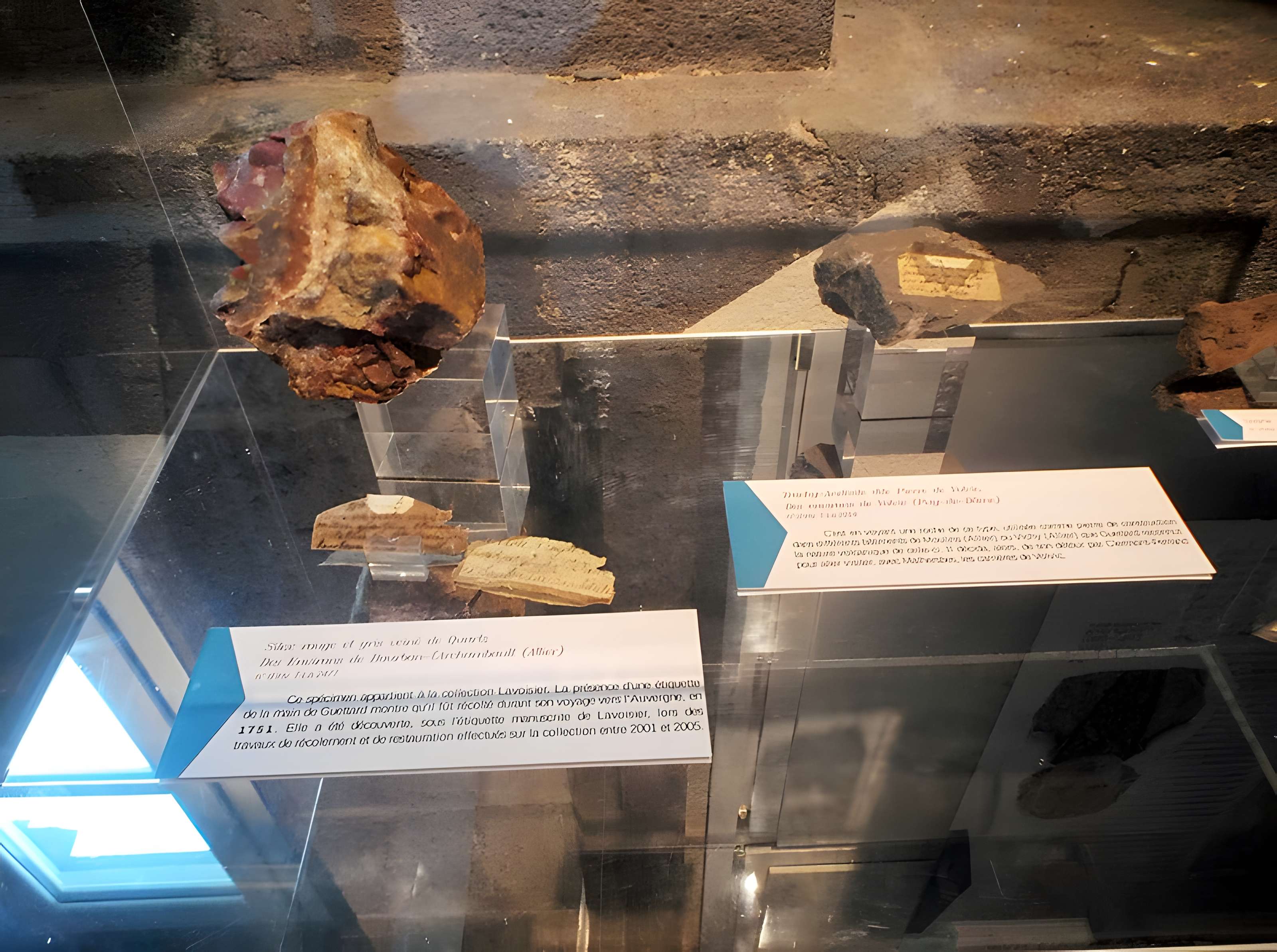 Muséum d'histoire naturelle Henri-Lecoq à Clermont-Ferrand