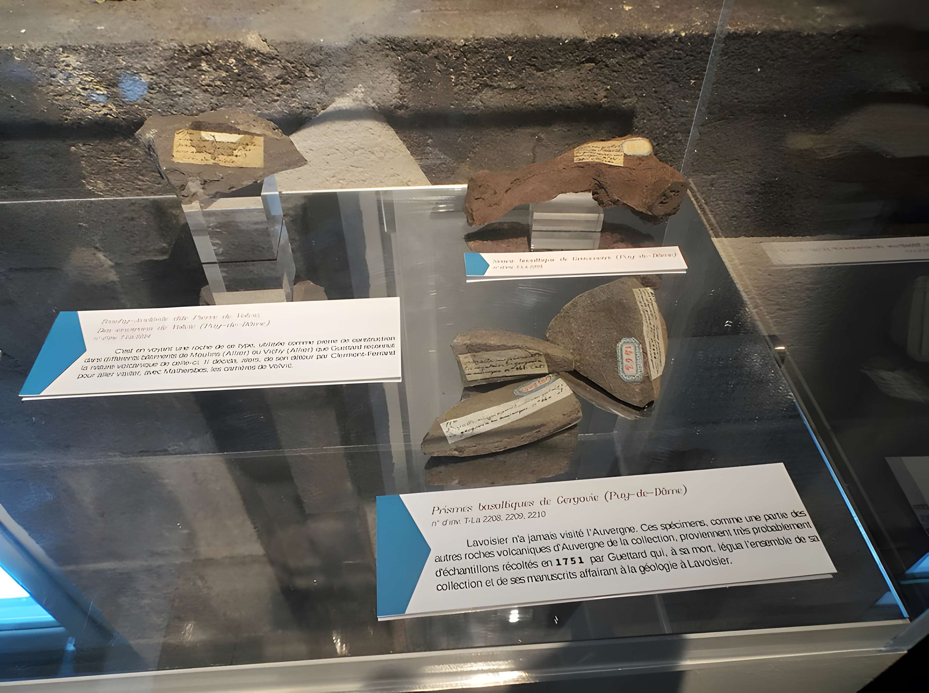 Muséum d'histoire naturelle Henri-Lecoq à Clermont-Ferrand