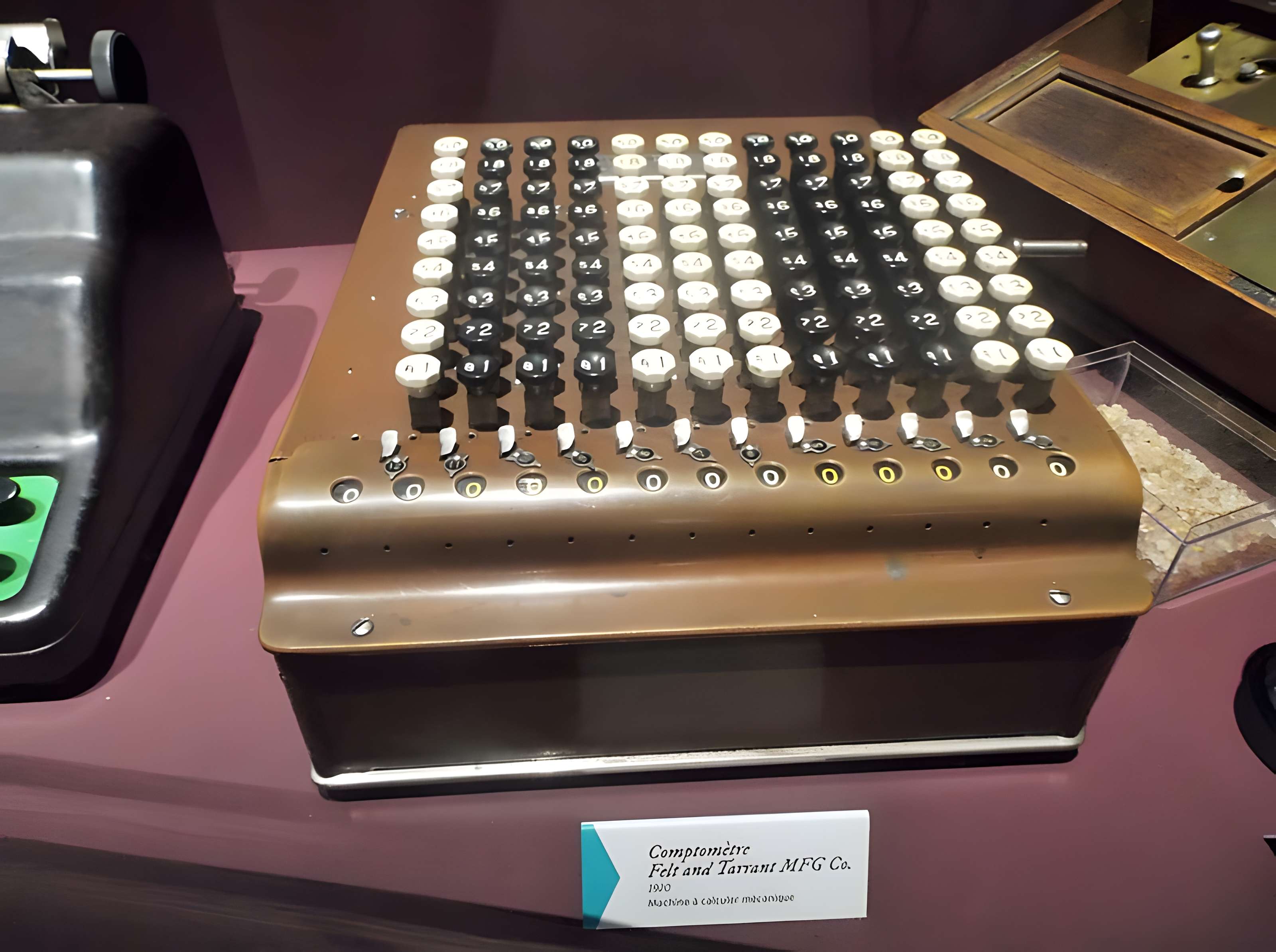 Muséum d'histoire naturelle Henri-Lecoq à Clermont-Ferrand