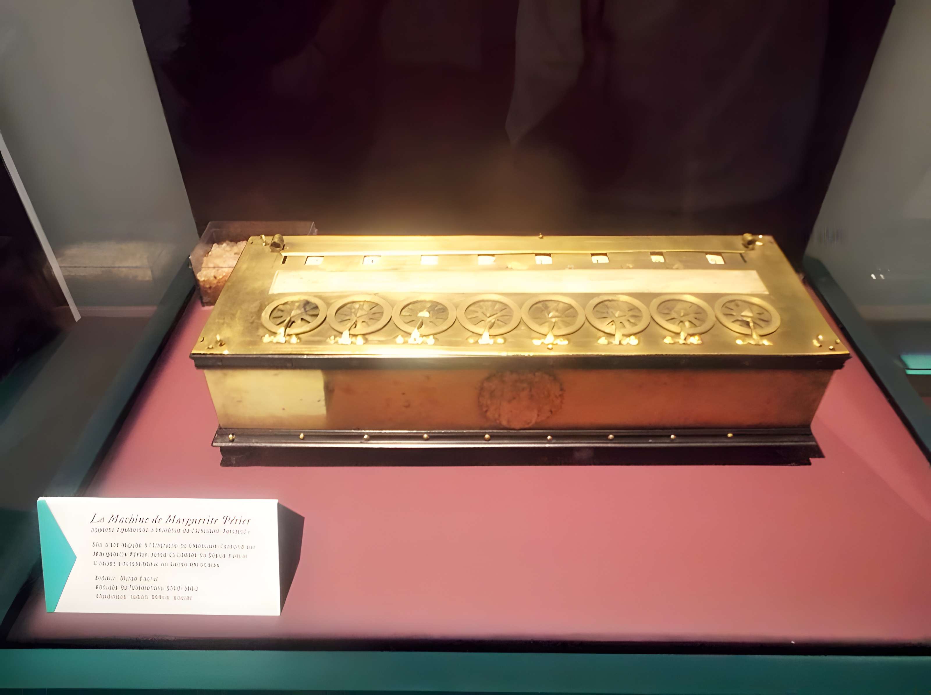 Muséum d'histoire naturelle Henri-Lecoq à Clermont-Ferrand