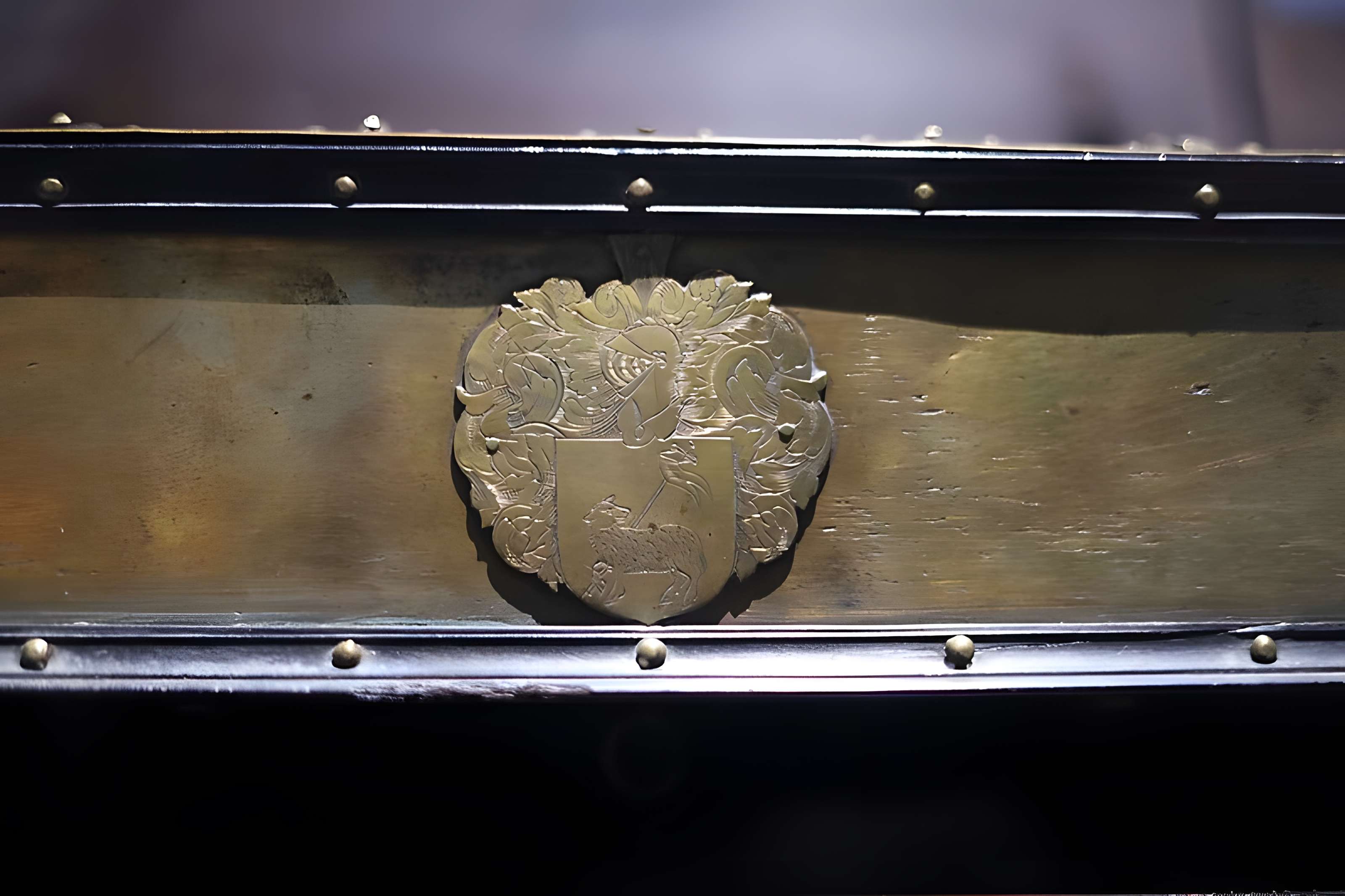 Muséum d'histoire naturelle Henri-Lecoq à Clermont-Ferrand