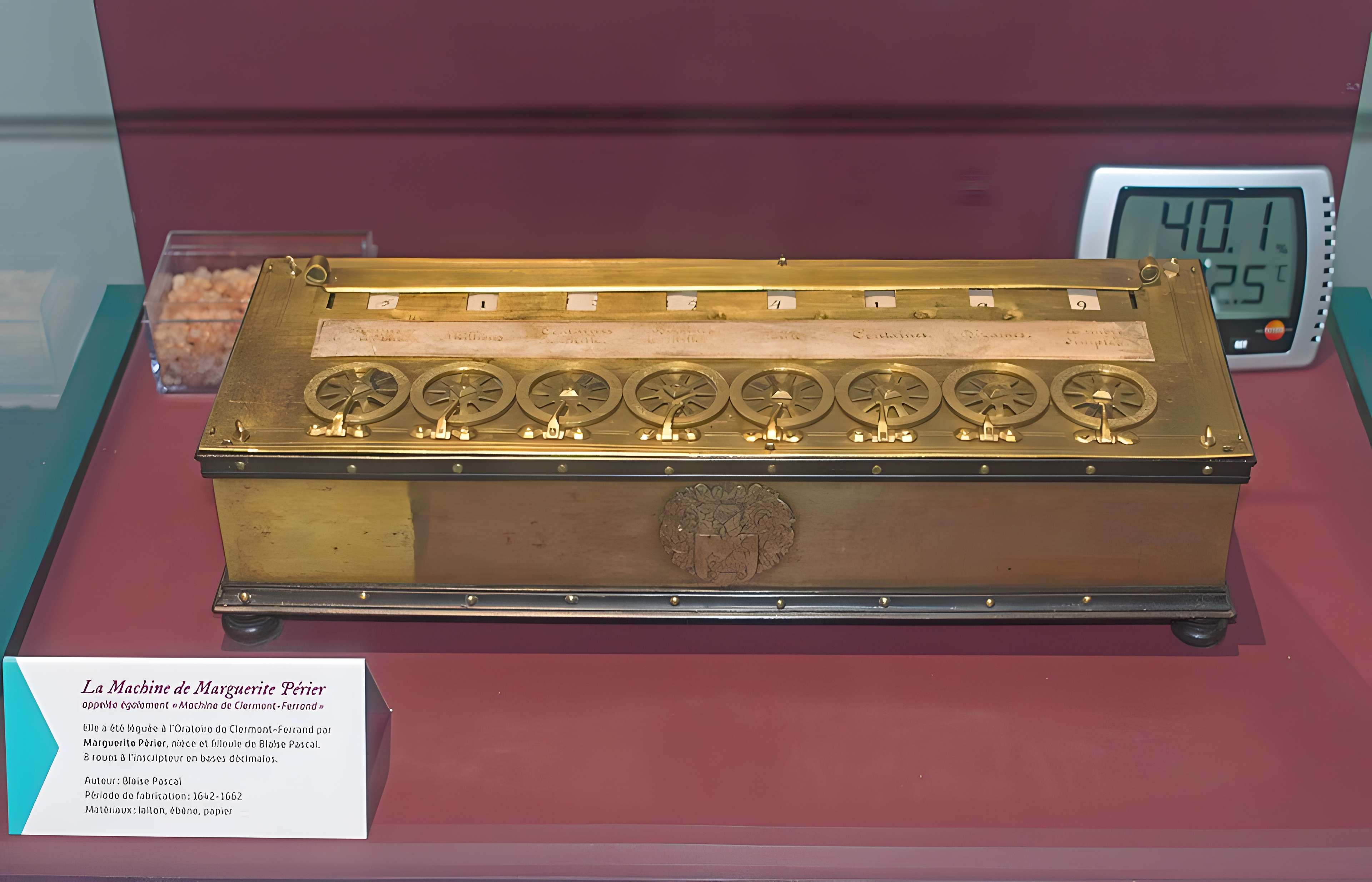 Muséum d'histoire naturelle Henri-Lecoq à Clermont-Ferrand