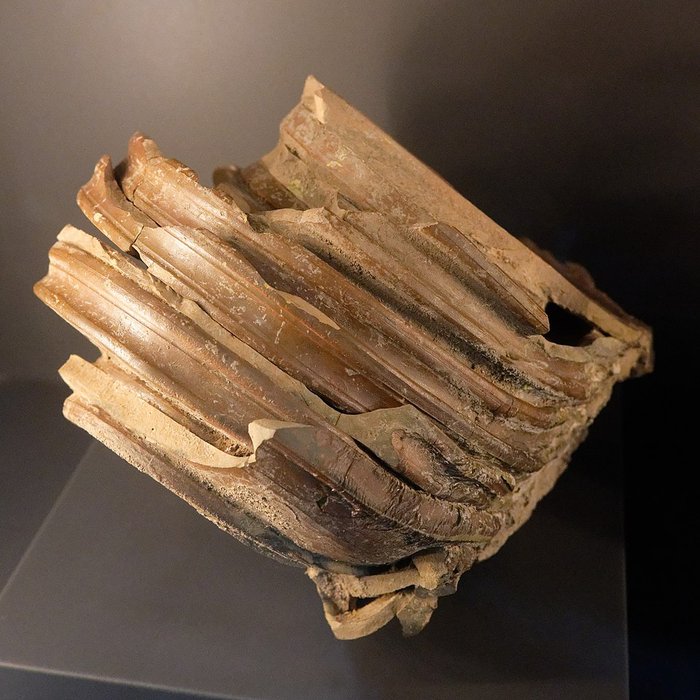 Photo de Musée départemental de la céramique de Lezoux