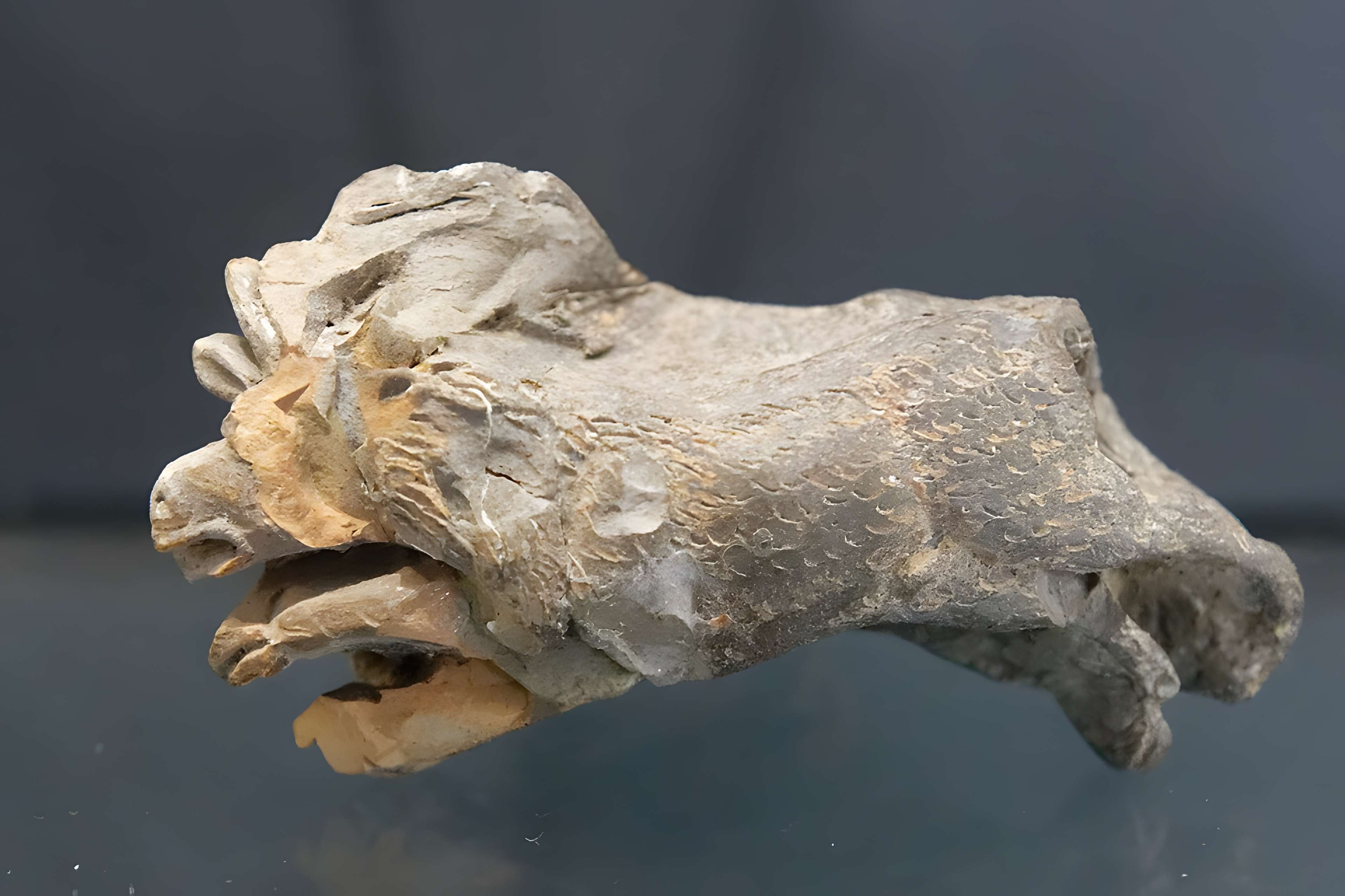 Musée départemental de la céramique de Lezoux