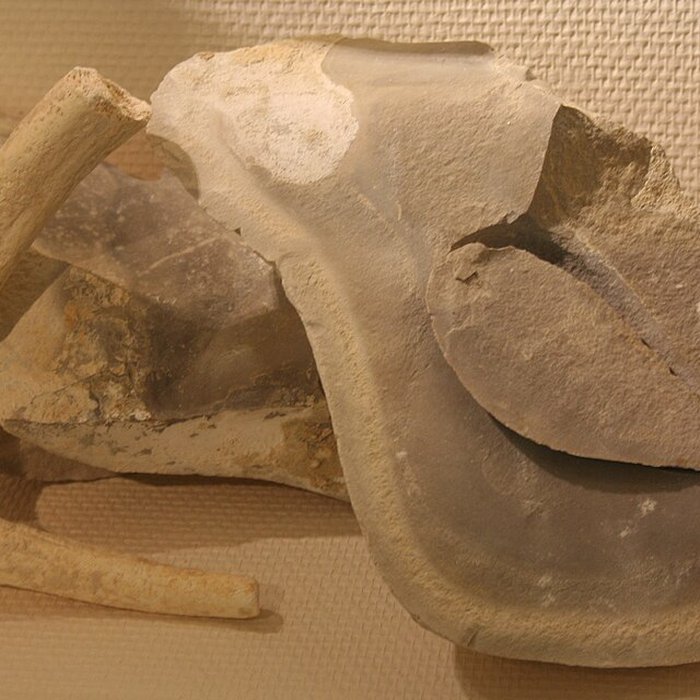 Photo de Musée de Normandie à Caen