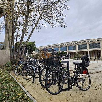 Musée de Normandie à Caen