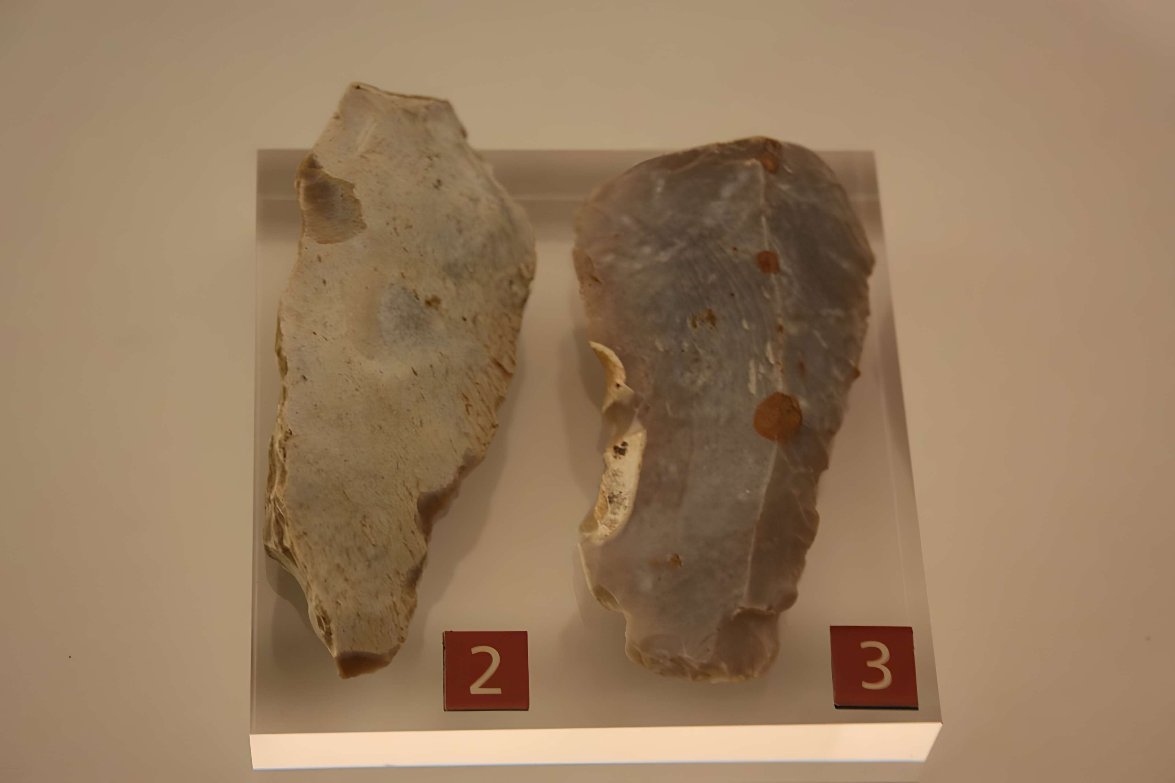 Musée de Normandie à Caen