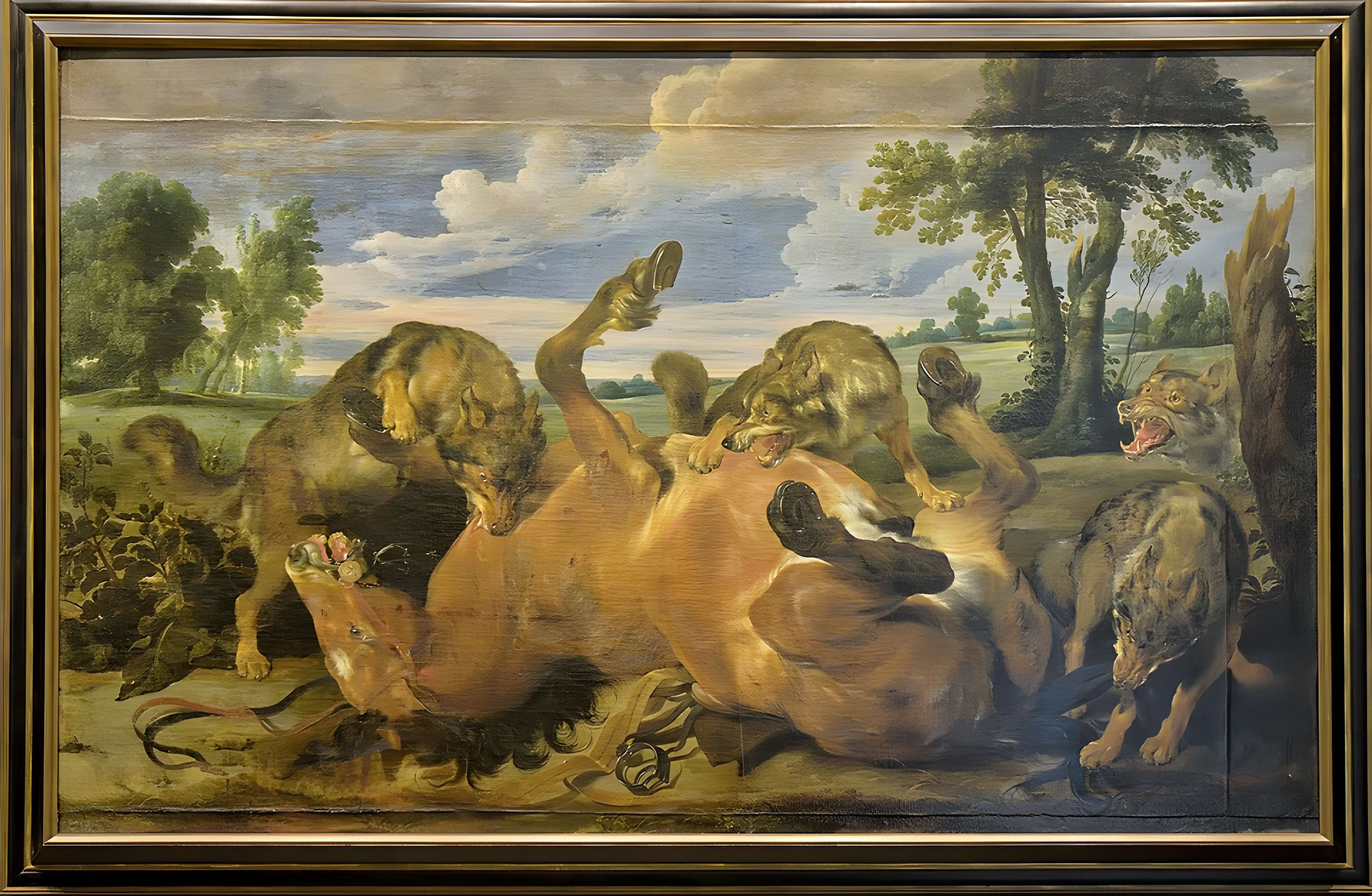 Musée des beaux-arts de Caen au Château