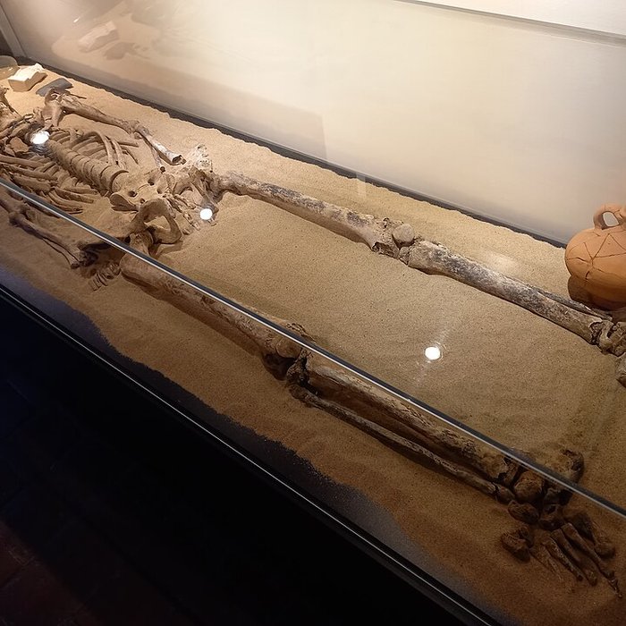 Photo de Musée dart et dhistoire de Lisieux