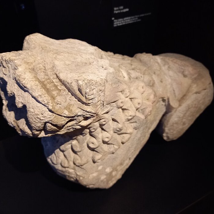 Photo de Musée dart et dhistoire de Lisieux