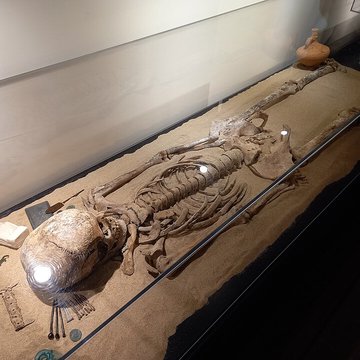 Musée dart et dhistoire de Lisieux