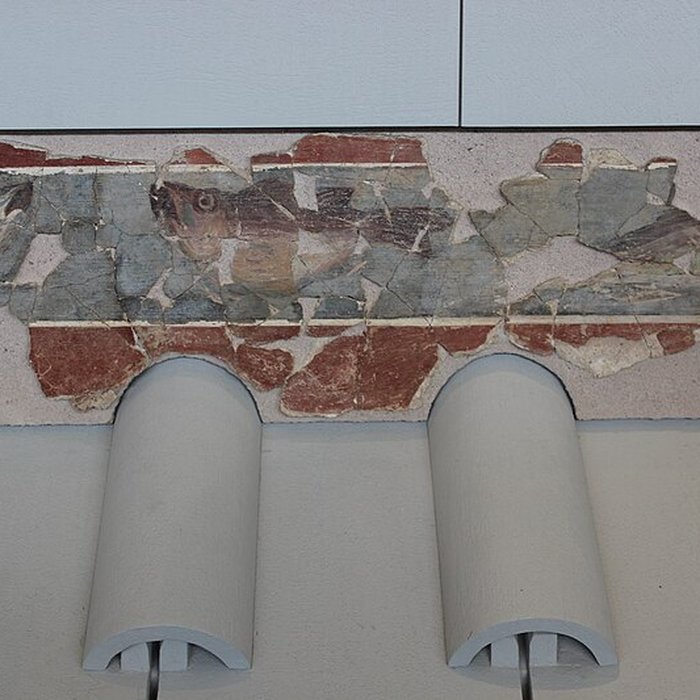 Photo de Musée et sites archéologiques de Vieux-la-Romaine