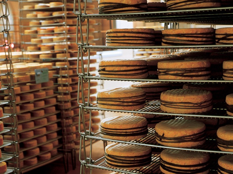 Photo de Musée du fromage à Livarot