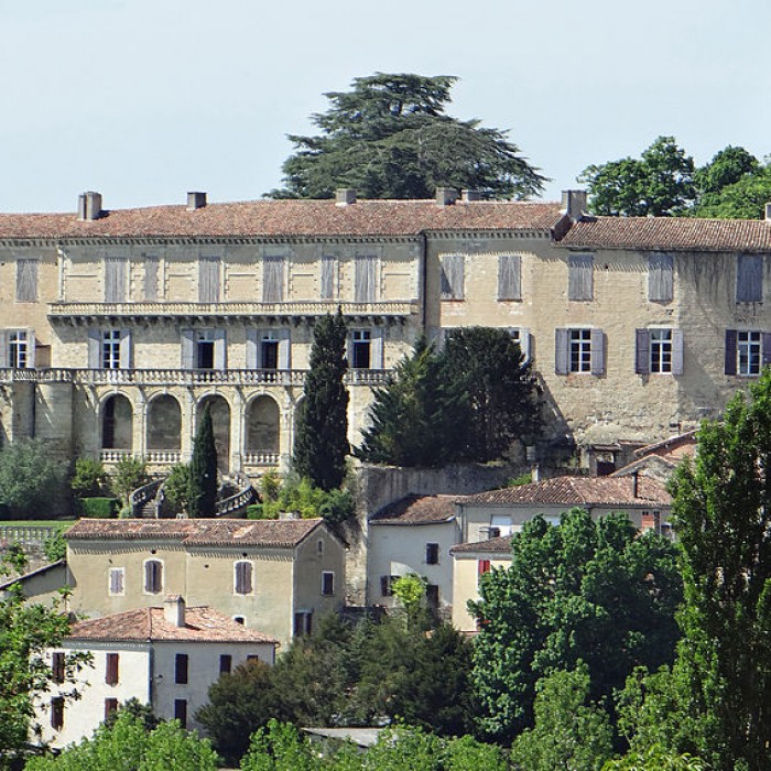 Photo de Château de Poudenas