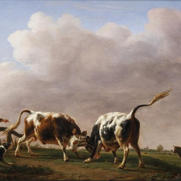 Photo de Musée Thomas Henry à Cherbourg-Octeville