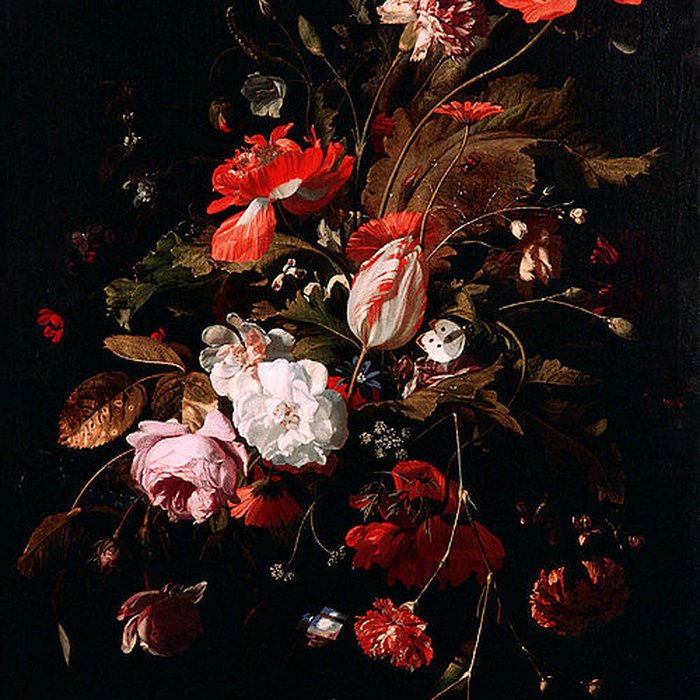 Photo de Musée Thomas Henry à Cherbourg-Octeville