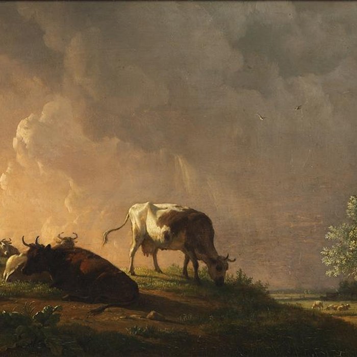 Photo de Musée Thomas Henry à Cherbourg-Octeville