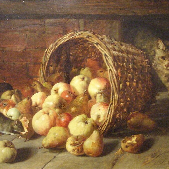 Photo de Musée Thomas Henry à Cherbourg-Octeville