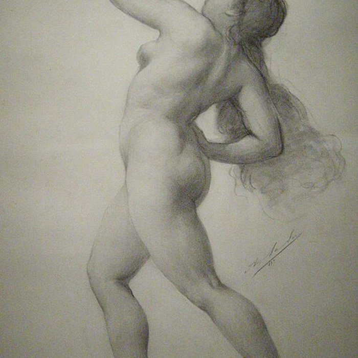 Photo de Musée Thomas Henry à Cherbourg-Octeville