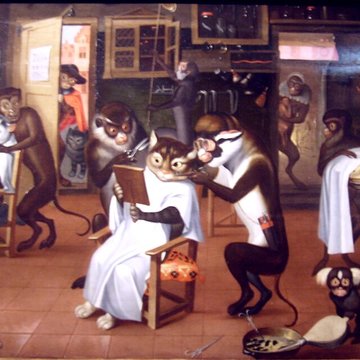 Musée Thomas Henry à Cherbourg-Octeville