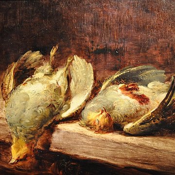 Musée Thomas Henry à Cherbourg-Octeville