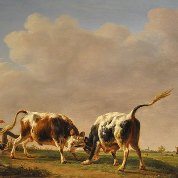 Musée Thomas Henry à Cherbourg-Octeville