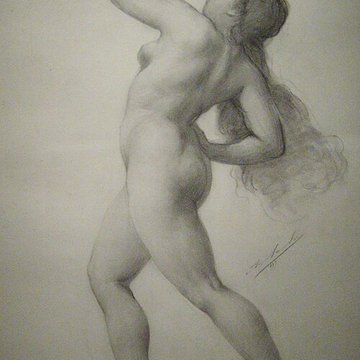 Musée Thomas Henry à Cherbourg-Octeville