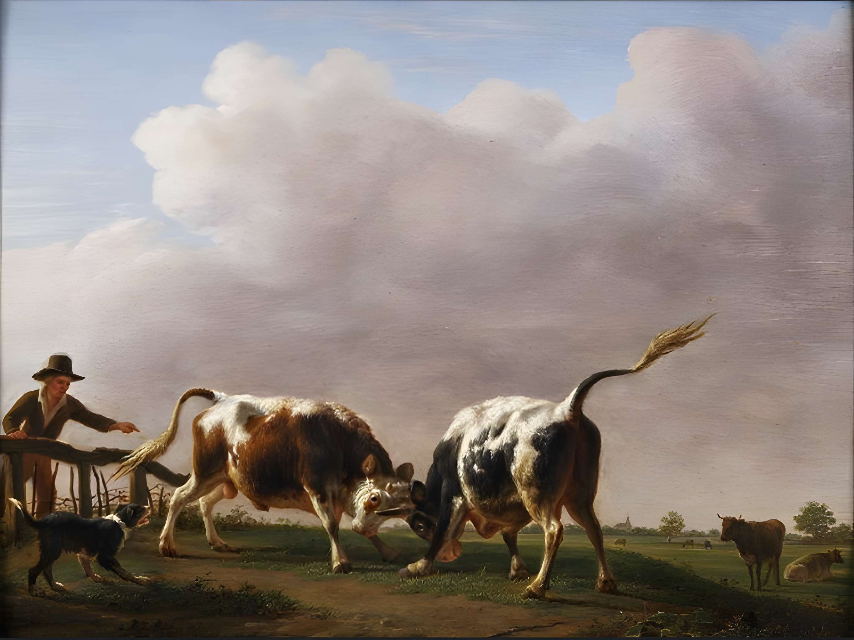 Musée Thomas Henry à Cherbourg-Octeville