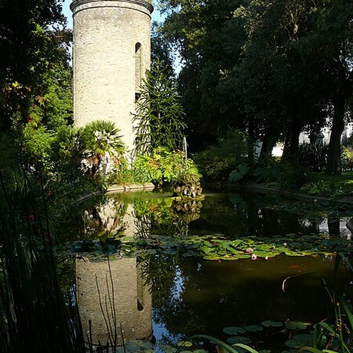Photo de Muséum Emmanuel Liais à Cherbourg-Octeville