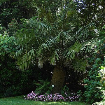 Muséum Emmanuel Liais à Cherbourg-Octeville