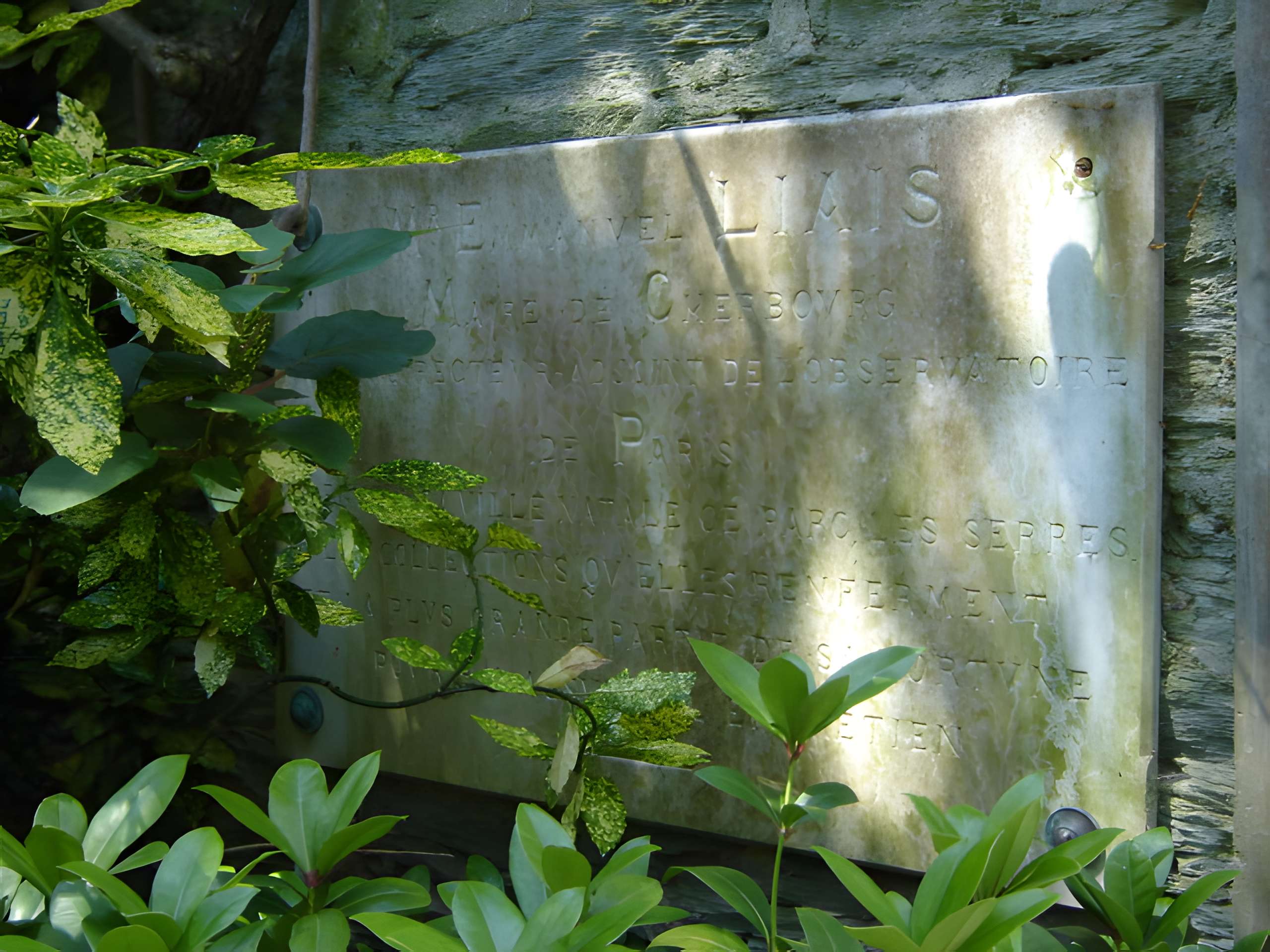 Muséum Emmanuel Liais à Cherbourg-Octeville