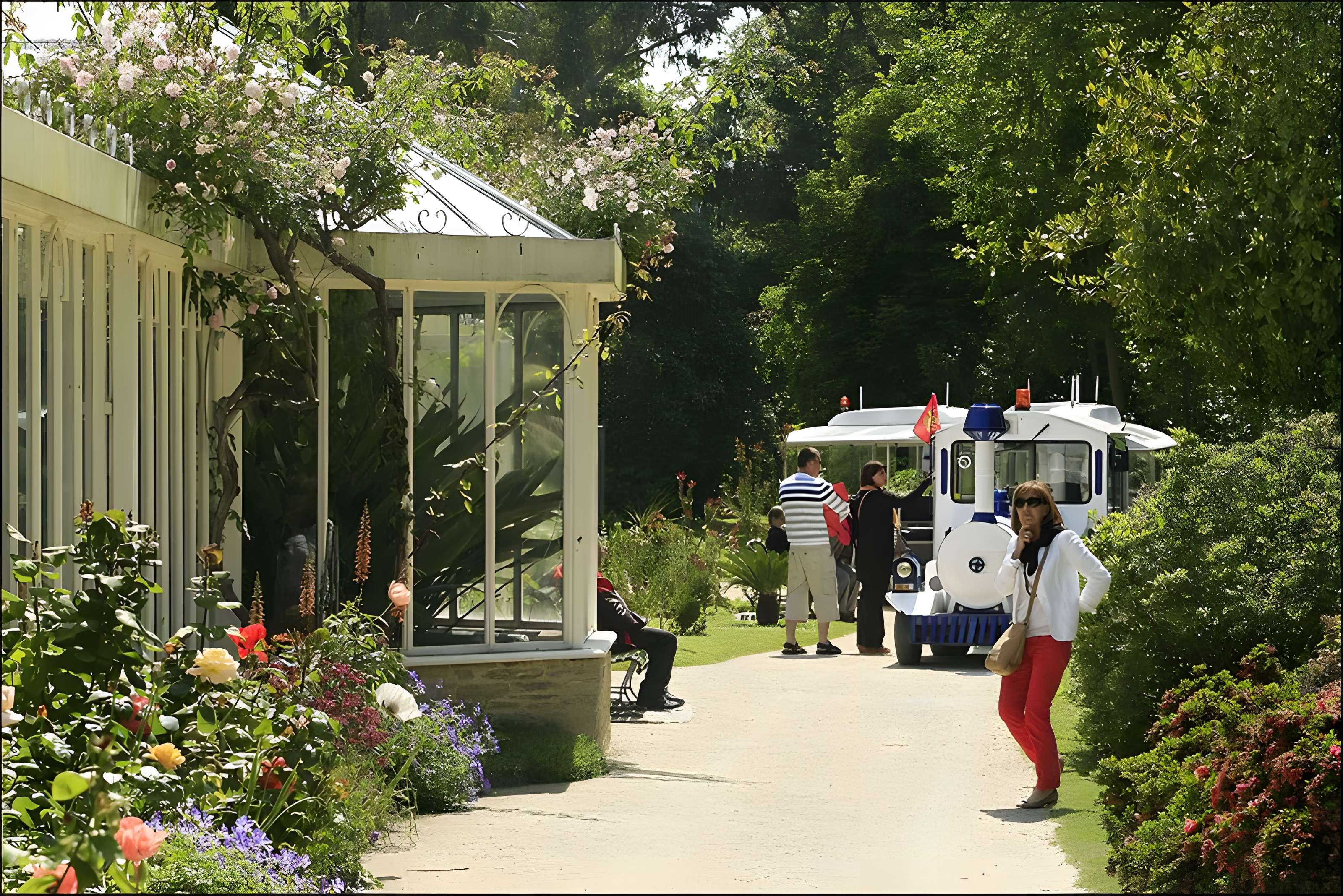 Muséum Emmanuel Liais à Cherbourg-Octeville
