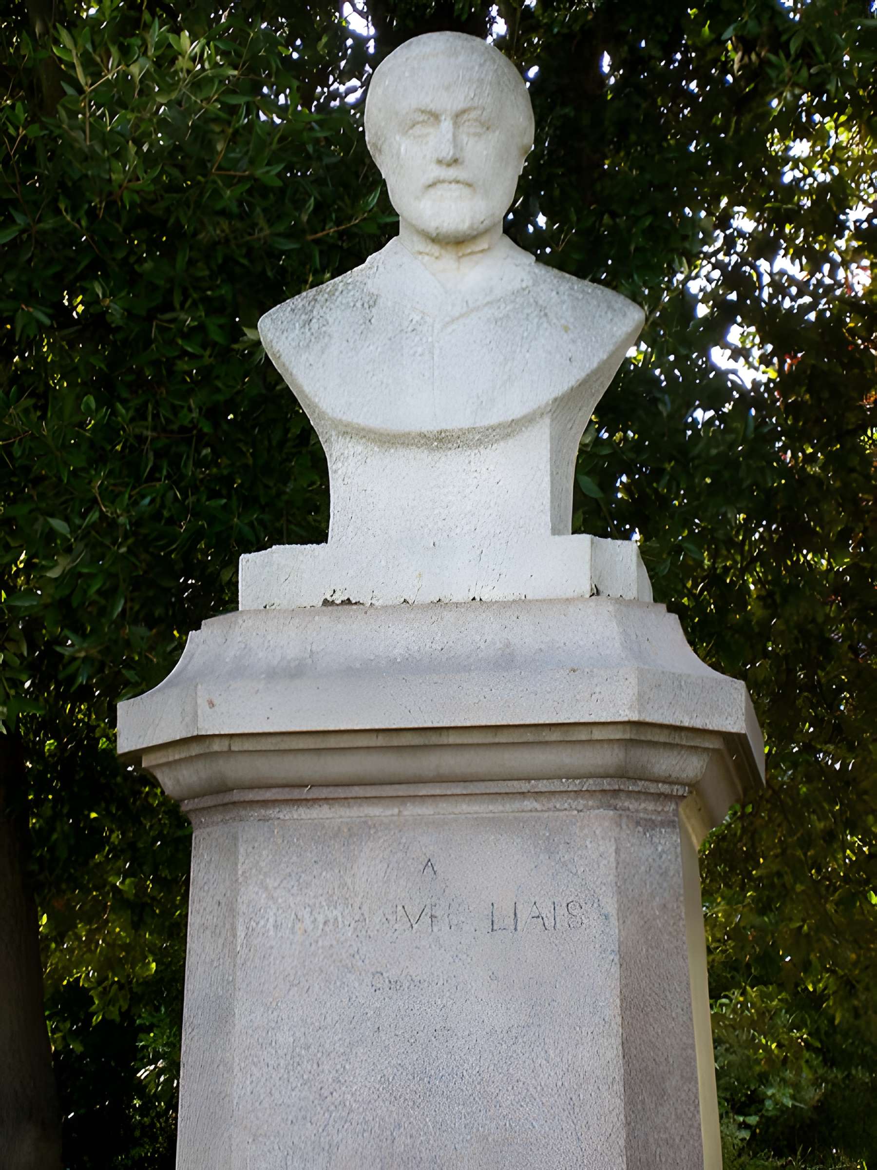 Muséum Emmanuel Liais à Cherbourg-Octeville