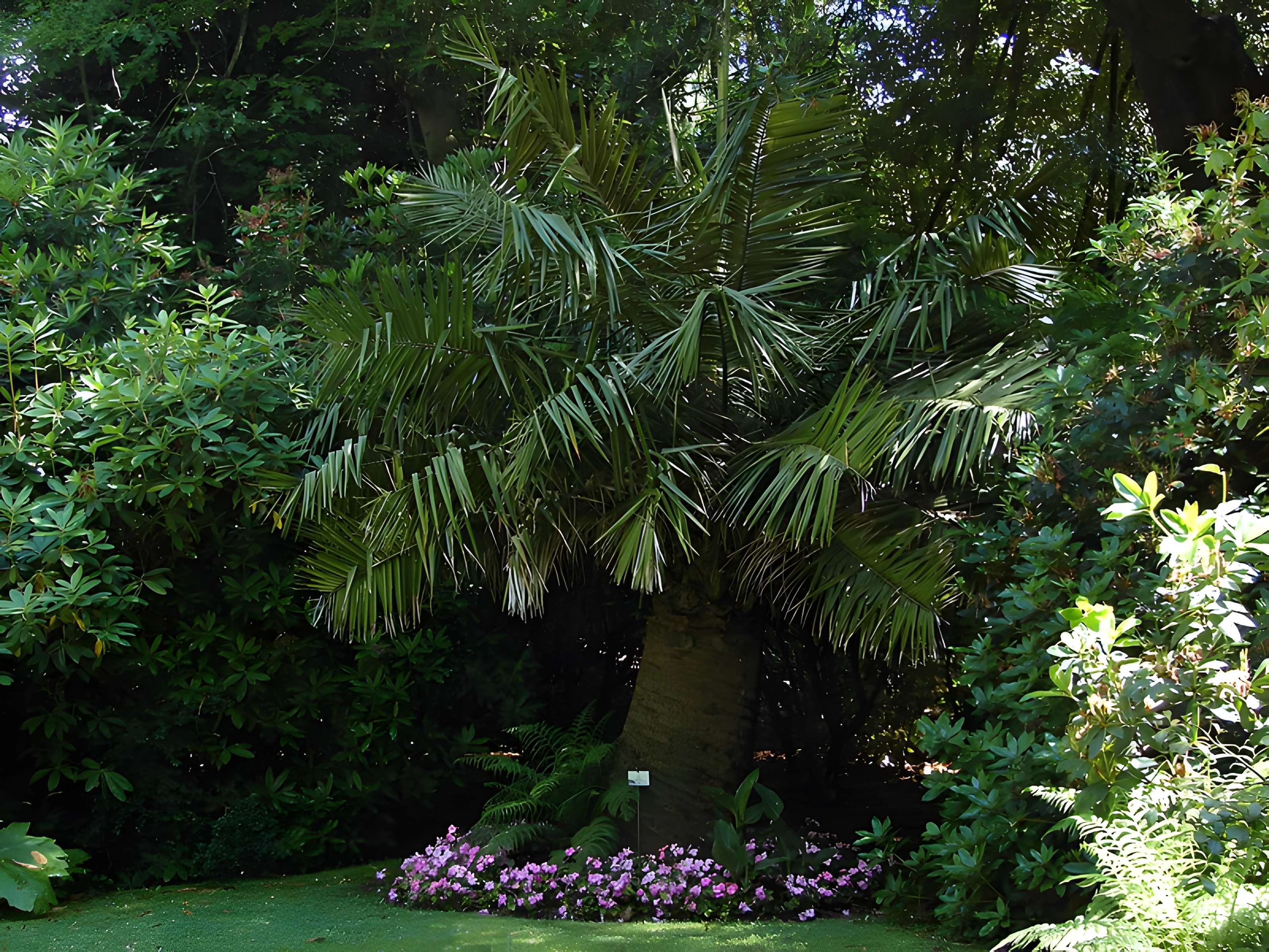 Muséum Emmanuel Liais à Cherbourg-Octeville