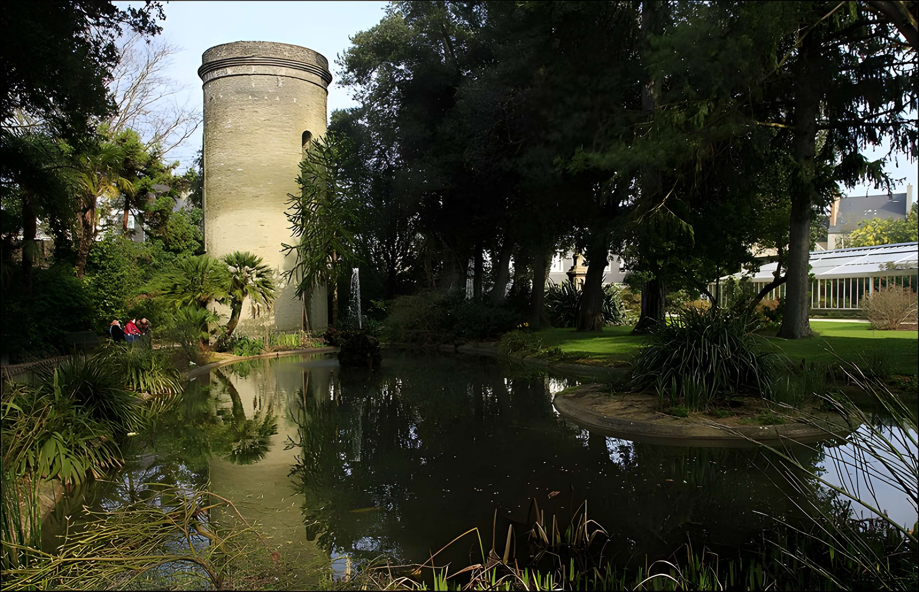 Muséum Emmanuel Liais à Cherbourg-Octeville