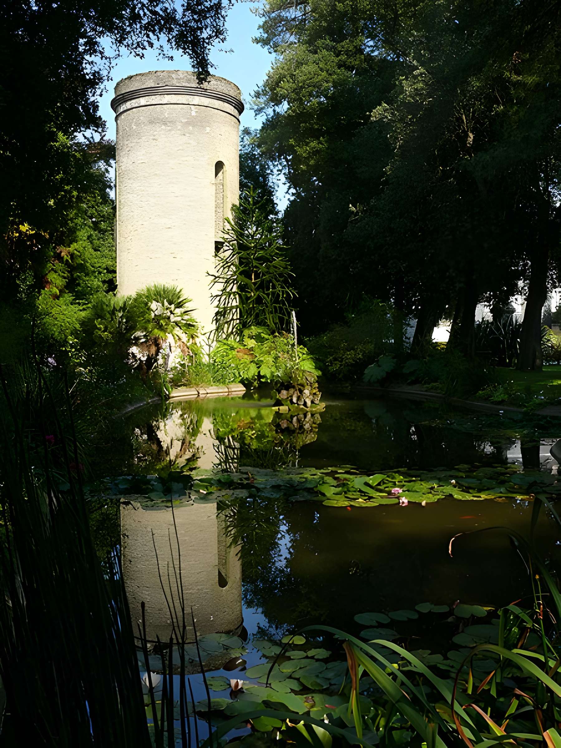 Muséum Emmanuel Liais à Cherbourg-Octeville