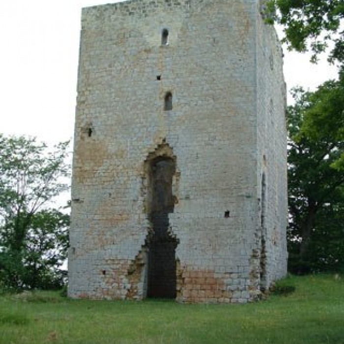 Photo de Château de Poyaller