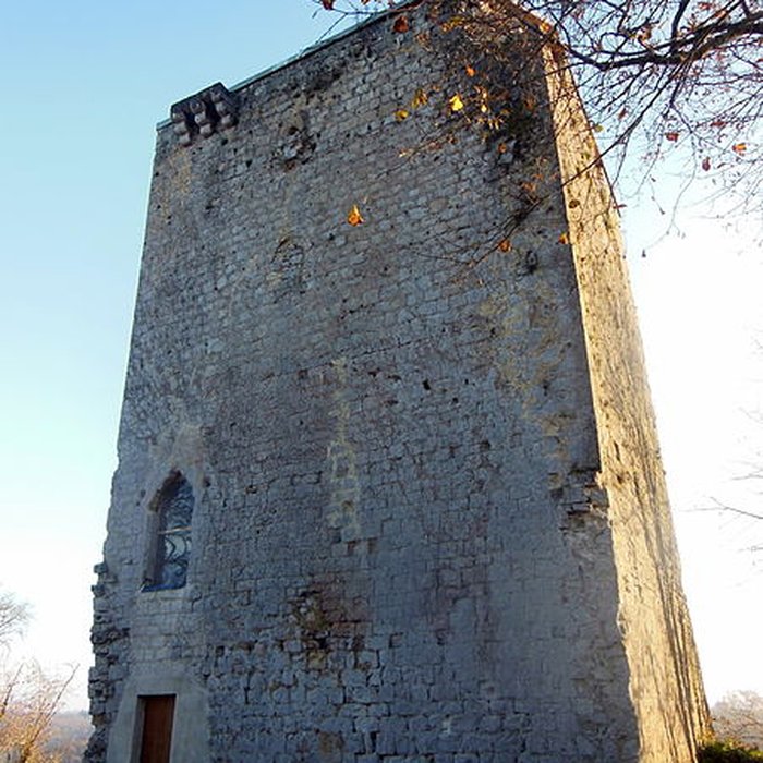 Photo de Château de Poyaller