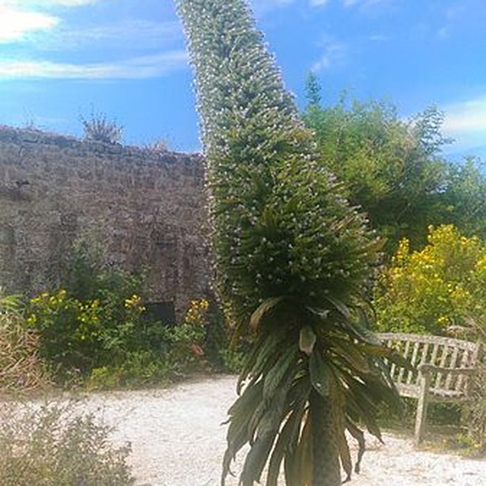 Photo de Musée Maritime de lIle Tatihou à Saint-Vaast-la-Hougue