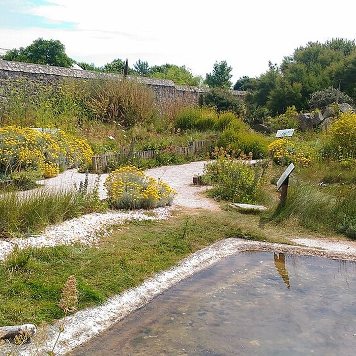 Photo de Musée Maritime de lIle Tatihou à Saint-Vaast-la-Hougue