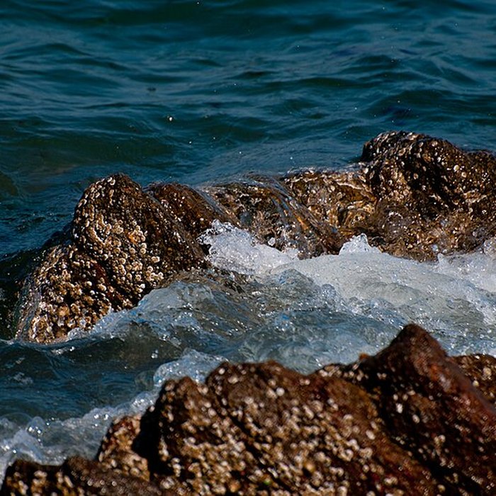 Photo de Musée Maritime de lIle Tatihou à Saint-Vaast-la-Hougue