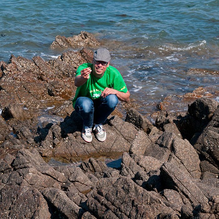 Photo de Musée Maritime de lIle Tatihou à Saint-Vaast-la-Hougue