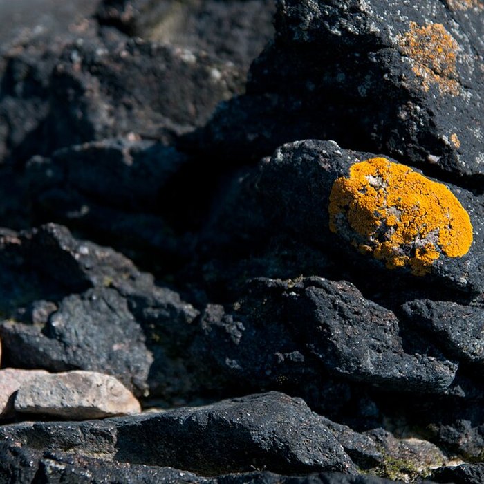 Photo de Musée Maritime de lIle Tatihou à Saint-Vaast-la-Hougue